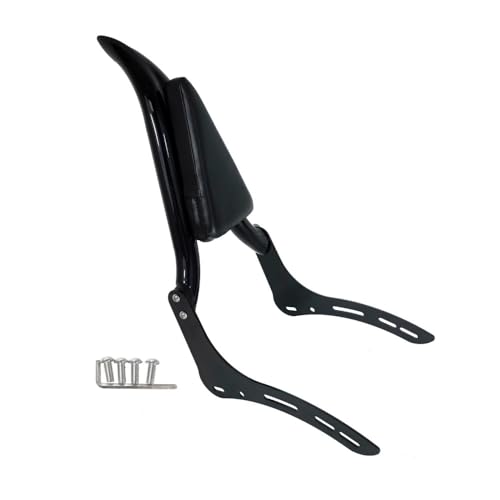 Accessoires moto de dossier arrière de précision pour Scout 101 Sport Bobber 2025