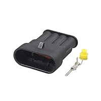 42種セミコンプリートセット　ポップ付き CELFORD】新規セットアップのご紹介 | CELFORD | 大丸札幌店公式 SHOP BLOG