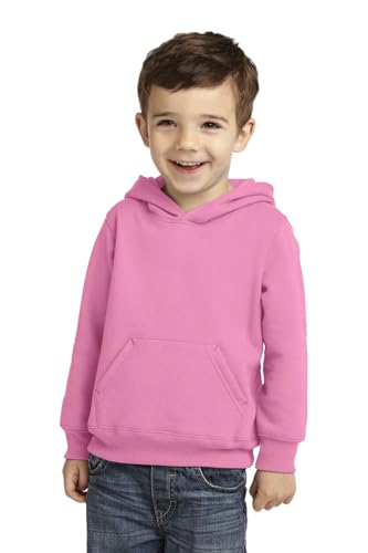Precious Cargo Unisex-Baby Pullover Hooded Sweatshirt