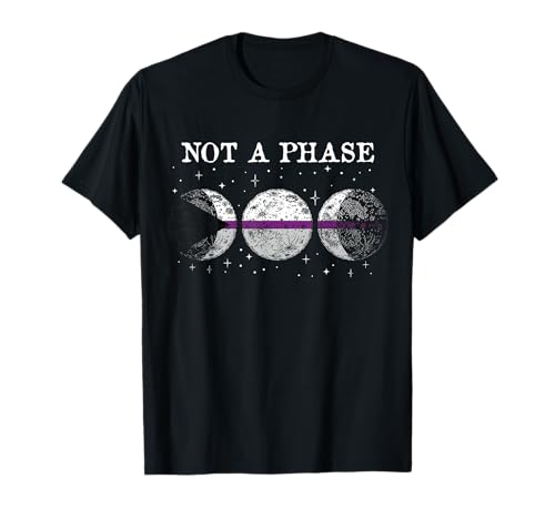 Demisexuelle Pride Flag Not A Phase Funny Demisexual T-Shirt