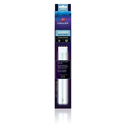Coralife 5522, 24 Watts, Compact Fluorescent Replacement Lamp, 13 Inches, 10,000K Daylight