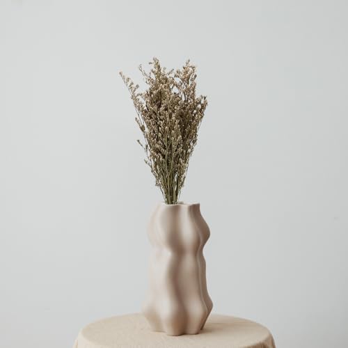 Set de 6 ramos de flores secas Babysbreath para decoración miniatura 5