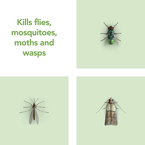 Raid Plant Based Wasp & Mosquito Killer, Aerosol Fly Killer Spray For Indoor Use, Made with Naturally Derived Botanical Ingredients, 300 ml (Pack of 3)