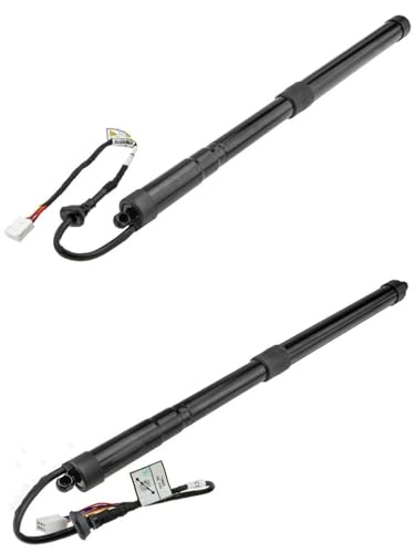 Entretoises à gaz pour hayon électrique RAV-4 | Solution coffre bloqué et levage difficile - 2