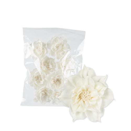 \t[ _A1C 6cm 10 ^CA t[AWg  |v A}fBt[U[ CeA fReBu炫 (M 6cm, 10, )