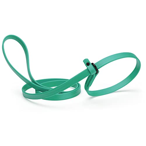 Dogline Biothane Slip Dog Leash - For Small, Medium And Large Dogs - Odor Free Slip Lead, Heavy Duty And Durable Material Kennel Lead - Teal - 5Ft L X 3/8In W #TOP23