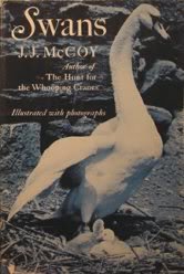 Hardcover Swans Book