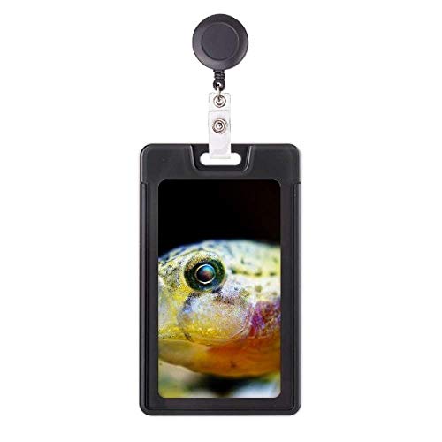 Porte badge rétractable poisson motif marin pour carte de bureau et pass