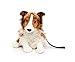 Haustier  günstig Kaufen-Uni-Toys - Langhaarcollie mit Leine, sitzend - Gesicht weiß-braun - 27 cm (Höhe) - Plüsch-Hund, Collie, Haustier - Plüschtier, Kuscheltier