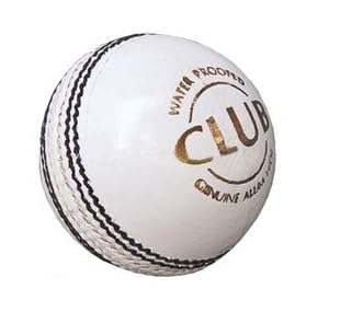 HTM Club Cricket Leather Ball - Pack of 1 (White) (B0DCPXJWJT) Amazon Price History, Amazon Price Tracker
