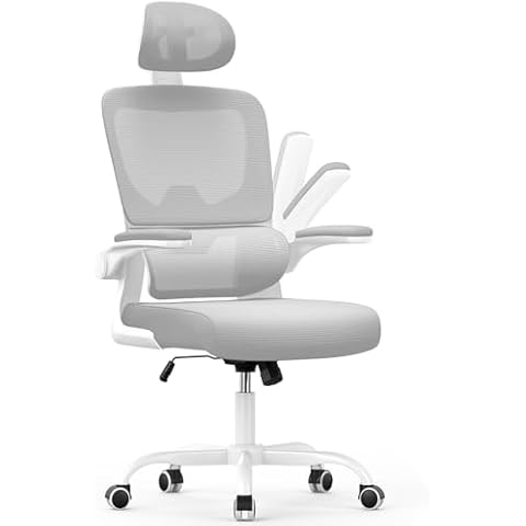 Chaise de Bureau Ergonomique Naspaluro Cover