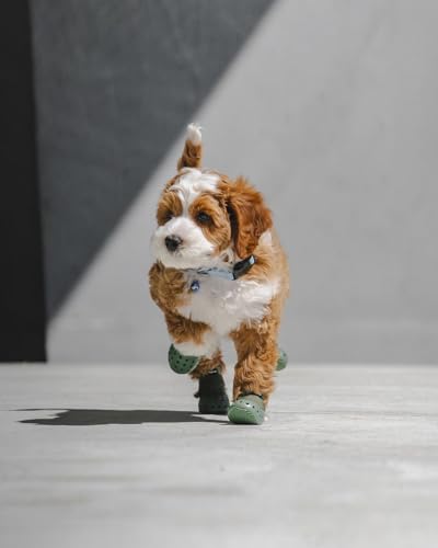 Image of Wagwear WagWellies Mojave Dog Boots - Paw Protection from Hot Pavement, Sharp Objects, Dirt, Toxins | Well-Ventilated, Easy-Clean - Sage (Sage, XXSH)