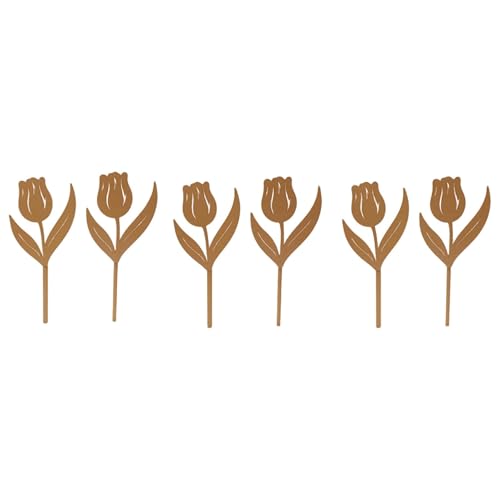 6s[X  Xe[N NGCeBu A  z[p