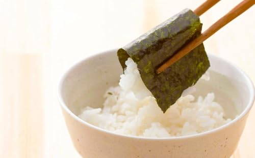 福岡県産 有明のり 海苔バラエティ 4種類 セット 計176枚 チャック付き 味付け海苔 焼き海苔 塩海苔 味付け海苔(濃いめ) 有明海産 のり 海苔
