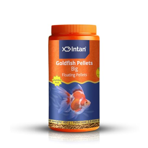 Image of Intan Goldfish Pellets Fish Food | Big Floating Pellets for Fish| Daily Nutrition Fish Feed for Health & Growth | Jumbo Pack 400 Gm, Pellet Size - 2.5 mm Dia, Pack of 1,All Life Stages