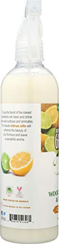 Absolute Green Natural Citrus Wood Polish & Cleaner, Lemon-Lime, 16 Oz … #TOP4