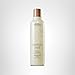Aveda Rosemary Mint Purifying Shampoo | Clarifying Shampoo | Adds Shine | for Normal to Oily Hair, Fine to Medium Hair Types | 97% Naturally Derived*, 8.5 Fl Oz