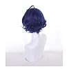 Ai Ohto Wig Coraline Anime Cosplay Accessories Short Blue Wig Bob Wig with Bangs