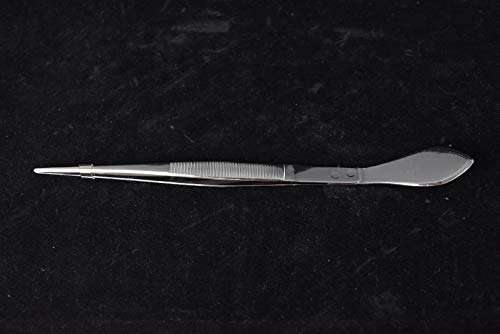 Japanese Stainless Bonsai Straight Tweezers W/Spatula - 2 In 1 Gardening Tool #TOP1
