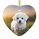 Materiali di alta qualità: questo simpatico ciondolo a forma di cuore con cucciolo maltese WHJSHOP è realizzato in materiali ceramici di alta qualità, leggeri, ben modellati, resistenti all'usura, affidabili e hanno una maggiore durata