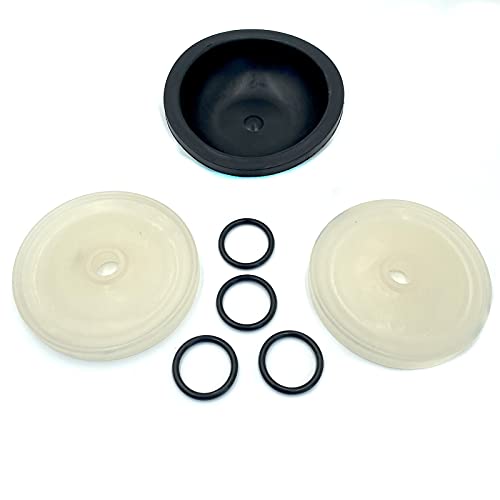 2Pcs Diaphragm Pump Fits For Hypro D30 Pump Rebuild Kit 9910-Kit1724 9910Kit1724 #TOP2