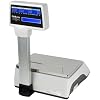 CAS CL5500R-30W Electronic Price Computing Scale with Label Printer - 30lb Capacity NTEP Certified Scale for Legal Trade - Network-Ready, Dual LCD Displays, 144 Speed Keys, 4000 Plus