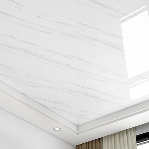 Enigmaire Azulejos del Techo,Revestimiento de Techo de sótano,Paneles de Techo Autoadhesivo de PVC para baño,Impermeables,Lavables,para Muro Y Techos,Fondos De TV,Dormitorios Y Oficinas