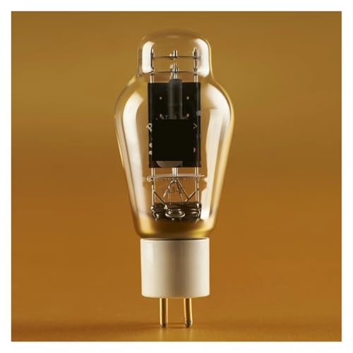 Amplificateur à tube HIFI 2A3C lampe audio 2A3 TII matched pair