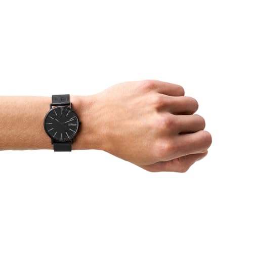 SKAGEN SKW6579 商品画像2