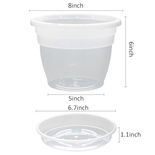 Image of RooTrimmer 10 Pack 8 Inch Clear Nursery Pots with Drainage Holes & Saucers