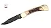 Buck Knives 110 Limited Edition Genuine Stag BOS S30V Folding Hunter Knife