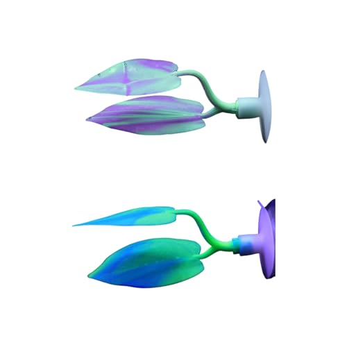 VRُ_炩VR[x^̃TS̋zx[XtBbV^NfR[VANZT[IȃTS̃fUC