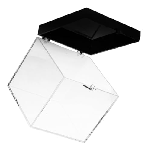 Levemolo Mineral Stones Display Box Specimen Cabinet Plastic Specimen Holder Display Storage Case