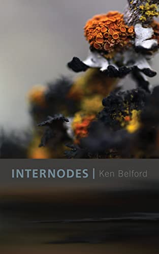 Internodes view 2