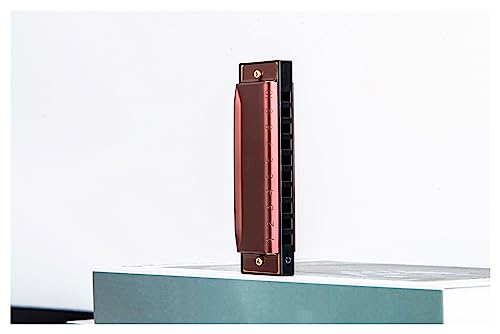 PacuM Harmonica par clé d’instrument 10 trous 20 tons Harmonica diatonique en acier inoxydable couvre Major C Harmonica Case Harmonica - Les Beatles, Paul McCartney, John Lennon, RIngo Starr, George Harrison PacuM Harmonica par clé d'instrument 10 trous 20 tons Harmonica diatonique en acier inoxydable couvre Major C Harmonica Case Harmonica – Image 5