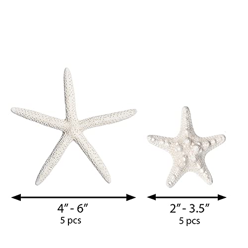 Nautical Crush Trading Starfish & Knobby Starfish Decor thumb #1