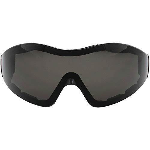 Birdz Eyewear Boogie Motorcycle & Skydiving Goggles Padded Black Frame Z87+