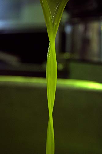 Croatian Premium Brachia Extra Virgin Olive Oil. First Cold-Pressed, Strong and Fruity Flavor, Perfect for Dipping and Drizzling. No Preservatives. Imported from Croatia. (2 x 0.5L Bottle Pack)