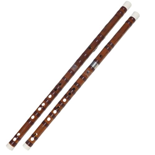 ؐ|J ㎿ȃr^[|t[g ꂽl̊y vtFbViȃptH[}X σ(13)