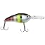 Neon Bluegill
