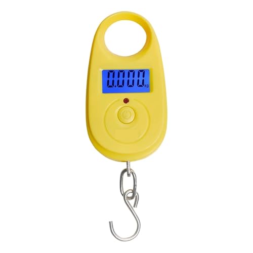 Balance suspendue 25kg pour peser les bagages en voyage sans stress