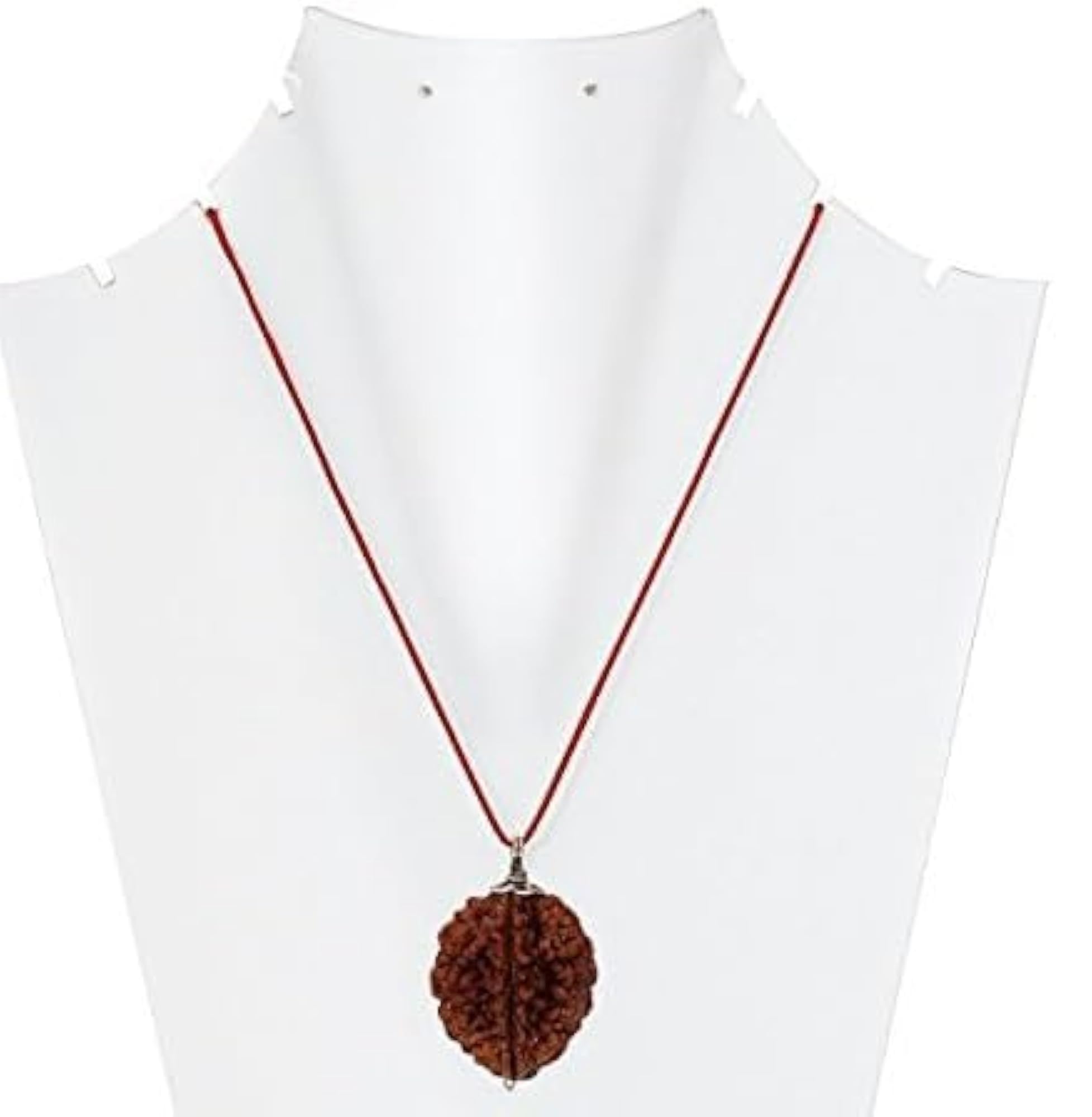 AARISH SAYA 2 Mukhi Rudraksha Certified Beads for Men & Women