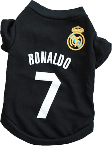 ߕ T tďH ^  Z yu Lm  ? ? ?  ?  h~E OoU? XS