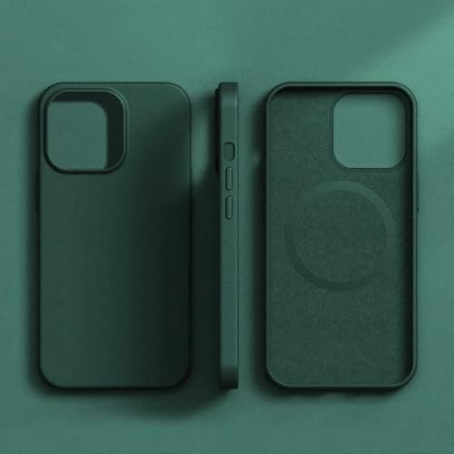 Accessoires de couverture arrière pour iPhone 14 Pro avec étui en cuir de luxe magnétique