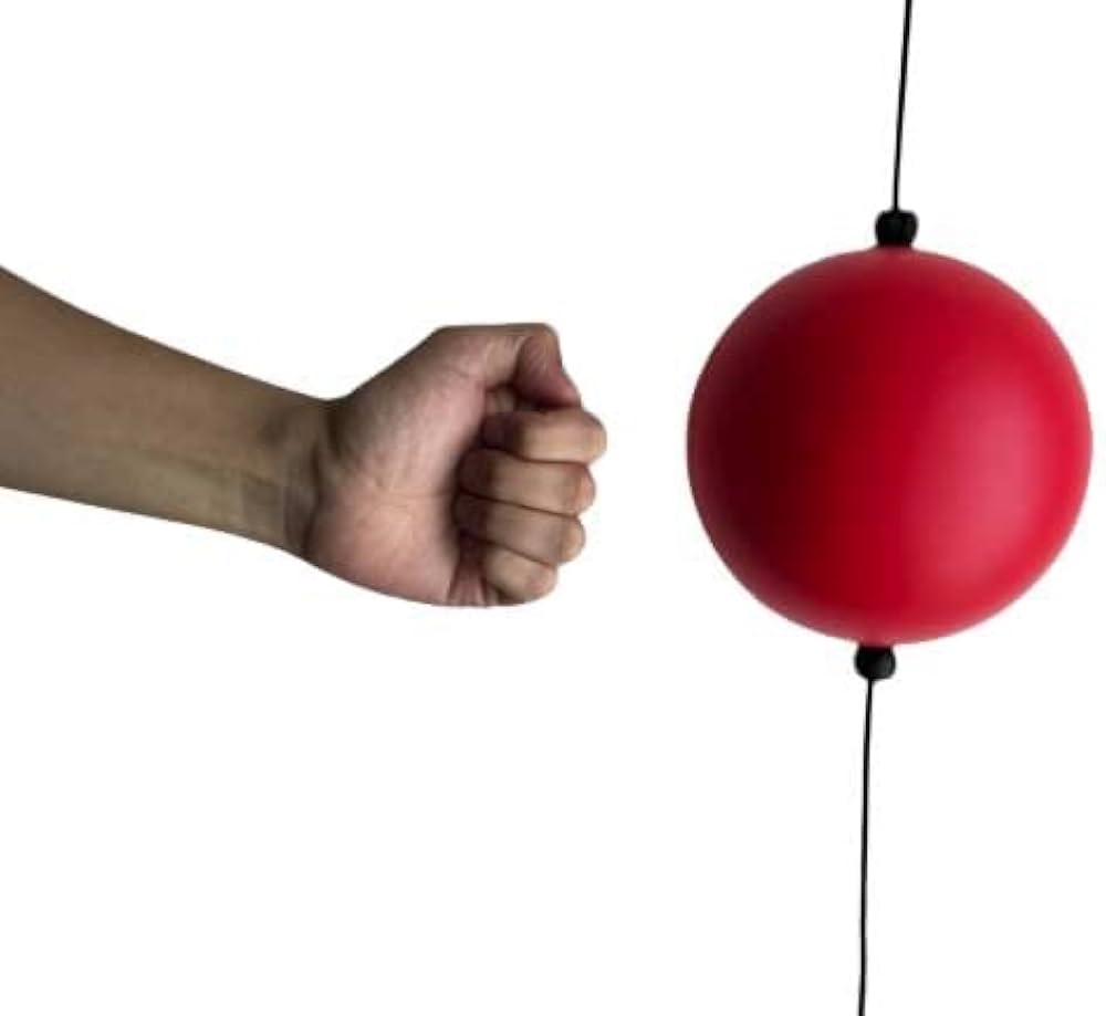 Amazon | DASUNO パンチングボール プロボクサー監修 パンチボール