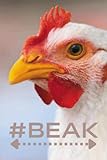#BEAK Squared Notebook with Cute Cover, Ideal for Life, Chickens and Worms Lovers.: 100 Squared Pages, 6x9 Inch.