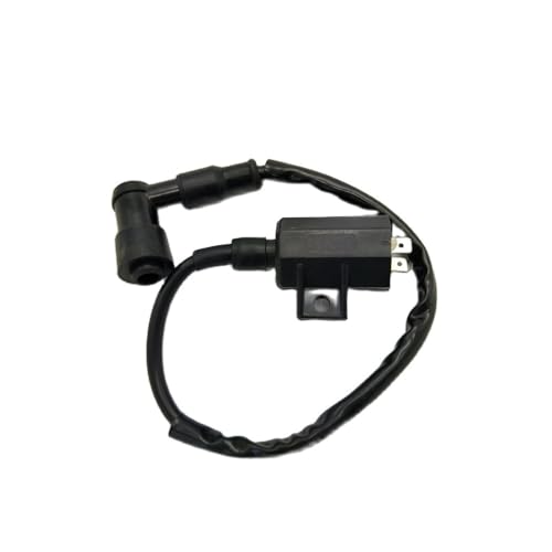 Bobina de encendido de alta chispa para moto de cross LT80 y ATV
