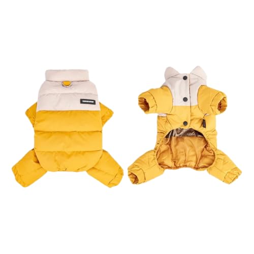 ~t[XngqqLR[ghybgxXg`ČViEU[pOp,F,L