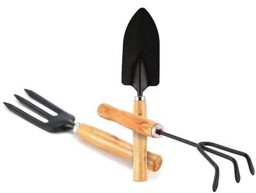 GLUN® Gardening Hand Tools, Wooden Handle with 3 Different Tools Metal Hand Cultivator, Transplanter and Hand Fork for Home Gardening (B0CY586RGL) Amazon Price History, Amazon Price Tracker