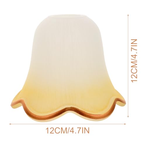 Cubierta Protectora Transparente para Lámpara con Estilo Europeo Elegante 2